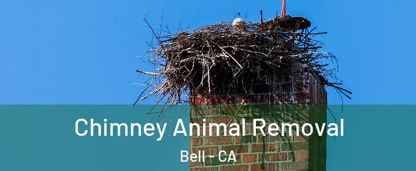  Chimney Animal Removal Bell - CA