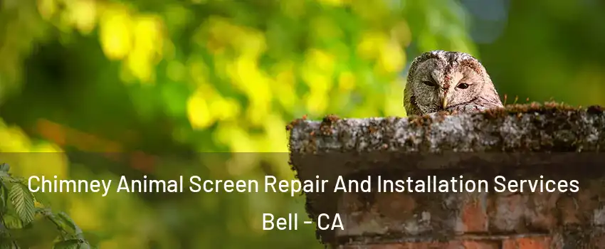  Chimney Animal Screen Repair And Installation Services Bell - CA