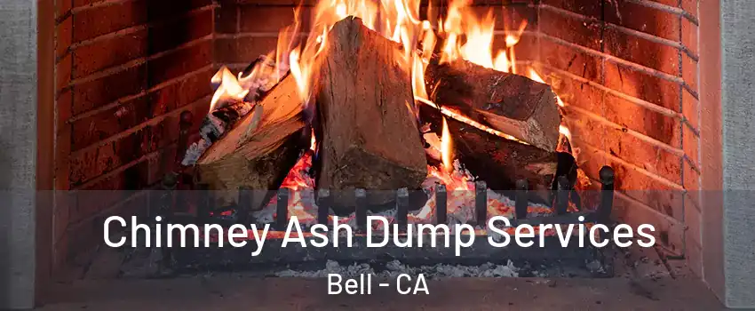  Chimney Ash Dump Services Bell - CA