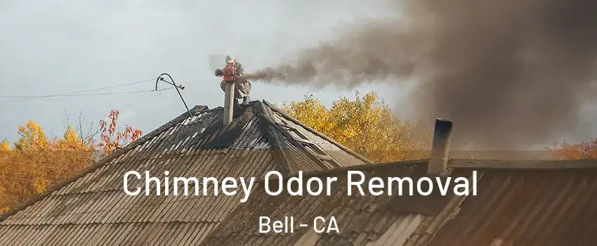  Chimney Odor Removal Bell - CA