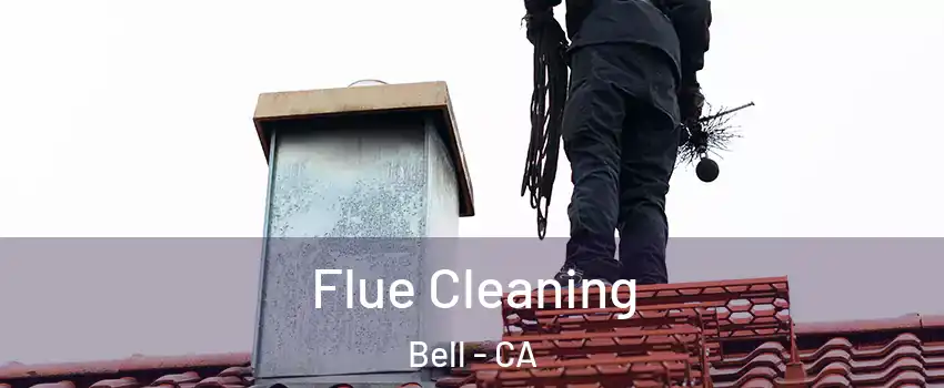 Flue Cleaning Bell - CA