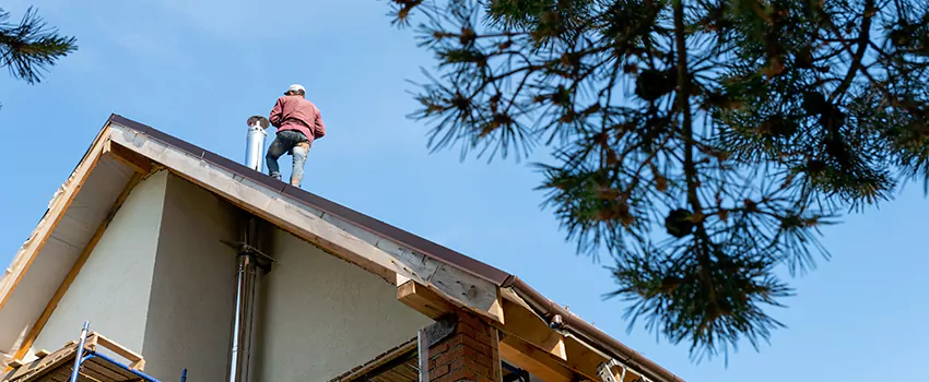 Birds Removal Contractors from Chimney in Bell, CA
